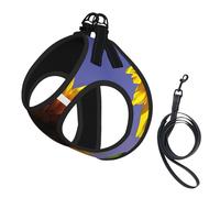 Bloom Sunflower print Dog Harness and Leash Set, Reflective Adjustable Puppy Vest for Small Medium Large Dogs, Cats