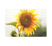 Bloom Sunflower Printed Jigsaw Puzzle 14.4x9.8 CM, Rectangular Puzzle Challenging Game for Adults Gifts, Family Fun Decorative Wall Decor