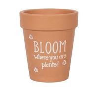 Bloom Where You Are Planted Terracotta Plant Pot - Floral Garden Decor (17Cm)