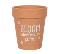 Bloom Where You Are Planted Terracotta Plant Pot (H17 X W15 Cm)