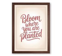 Bloom Where You're Planted Typography Framed Wall Art Print A3 (42×29.7cm) Walnut, Wall Decor for Living Room, Bedroom, Office & Home, Ready to Hang, Art Gift