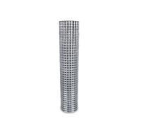 Blooma 25X25mm Galvanised Steel Wire Mesh Roll, (L)5M (H)0.5M
