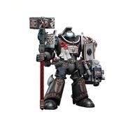 Bloomage Joytoy Tech - Joytoy Warhammer 40,000 Grey Knights Terminator Caddon Vibova 1/18 Figure (Net)