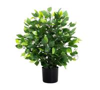 Blooming Artificial - 60Cm / 2Ft Fake Weeping Fig Ficus