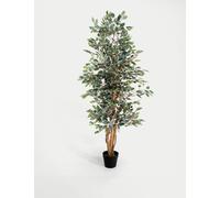 Blooming Artificial 6ft Artificial Ficus Tree in Pot Green Mix