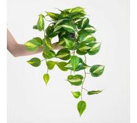 Blooming Artificial - 70Cm Faux Devil's Ivy Pothos - Indoor Trailing House Plant