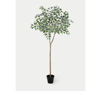 Blooming Artificial Artificial 5ft Ficus Topping Tree Green