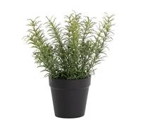 Blooming Artificial - Artificial Plant Indoors in Pot, Thyme, Year Round Decorative Foliage for the House and Office, Charming and Rustic (Green) (22cm)
