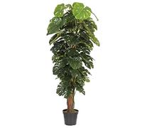 Blooming Artificial Artificial Plant, Realistic Indoor Fake Plant in Pot, Artificial Cheese Plant, Make Your Life Easier, Perfect for Bringing Life to Indoor Spaces (180cm)