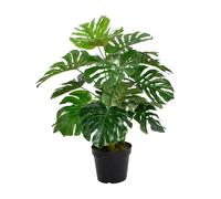 Blooming Artificial Faux 90cm Monstera Deliciosa Plant in Black Pot, Indoor Medium Tropical Fake Cheese Plant Home Decor