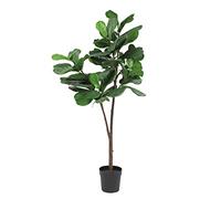 Blooming Artificial Fiddle Leaf Tree 175cm - Realistic Faux Plant in Pot, No Watering, for Living Room, Office & Hallway, Broad Sculptural Leaves on a Slim Trunk