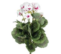 Blooming Artificial Outdoor and Indoor Plant, Weather Resistant, Faux Decorative Flowers, Easy Care, Perfect for Gardens and Patios (Geranium Bush) (White/Pink) (37cm) (8 Pack)