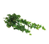 Blooming Artificial Outdoor Plant, UV and Water Resistant, Faux Decorative Foliage, Easy Care, Perfect for Gardens and Patios (Ivy Foliage Bush) (Green) (70cm) (6 Pack)