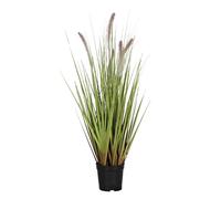 Blooming Artificial Plants Indoors in Pots, Faux Decorative Foliage, No Hassle, Easy Care, Perfect for Bringing Life to Indoor Spaces (Foxtail Grass) (Green) (60cm)