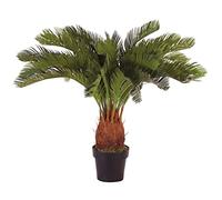 Blooming Artificial Plants Indoors in Pots, Faux Decorative Foliage, No Hassle, Easy Care, Perfect for Bringing Life to Indoor Spaces (Cycas Revoluta) (Green) (95cm)