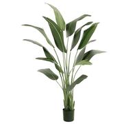 Blooming Artificial Strelitzia Bird of Paradise Faux Tree - Tall Broad Tropical Leaves, Ideal for Statement Corners, Atriums & Office Receptions, No Watering, No Light Needed, Wipe Clean (175cm)