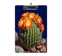 Blooming Barrel Cactus Clipboard Colorful Sturdy Acrylic Clipboard Decorative Clip Board with Metal Clip Cute Plastic Clipboards A4 for Nurses Office（Standard Size 8.5" X 12.5"）