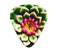 Blooming Cactus Flower Exceptional Guitar Pick â€“ Single-Side Full-Print, Abs Material Plectrum â€“ Diverse Thickness For Varied Music Experience â€“ Ideal For Guitars And Ukuleles,Guitar Pick,
