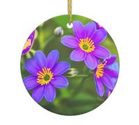 Blooming Flowers Decoration Xmas Hanging Novelty Crafts For Souvenir Party Collection