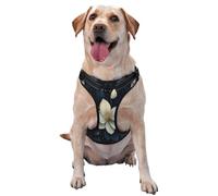 Blooming Flowers Dog Harness for Small, Medium, and Large Dogs – Reflective Straps, Adjustable Fit with Quick-Release Buckles