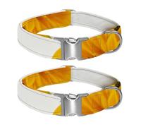 Blooming flowers in white space, gentleness in eyes Adjustable Pet Collar for Small Medium Large Dogs & Cats, Reflective Strip for Night Safety, Soft Comfort Pad
