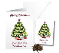 Blooming Memories Surprise Christmas Seed Card with Tree Seed Packet - Unique Christmas Cards for Husband & Wife, Grow Your Own Christmas Tree Memorable Kids Gardening Gift