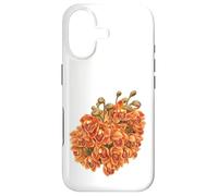 Blooming Orange Orchid Case for iPhone 17