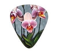 Blooming Orchids printed guitar picks, 12-piece set with thin, medium, and thick styles, comes with a storage case