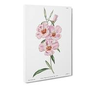 Blooming Pink Hibiscus Flowers Canvas Print | Gallery Wrapped 30mm Frame Wall Art | 30x20 inches | Ready to Hang | Modern Floral Picture | Living Room Bedroom Lounge Office