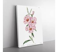 Blooming Pink Hibiscus Flowers Vintage Canvas Wall Art Print Ready to Hang, Framed Picture for Living Room Bedroom Home Office Décor, 60x40 cm (24x16 Inch)