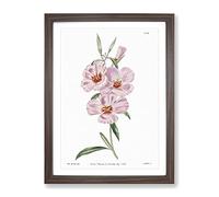 Blooming Pink Hibiscus Flowers Vintage Framed Print | A2 Walnut Framed Wall Art | Ready to Hang | Classic Floral Picture | Living Room Bedroom Lounge Office