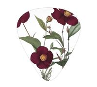 Blooming red roses Printed pick set - 12 pieces, thin, medium and thick guitar picks, suitable for guitar, bass, electric guitar and ukulele
