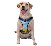 Blooming Sunflower Field Pattern Dog Harness - Lightweight,Soft,Adjustable Small Harness and Leash Set, Suitable for Puppy Small and Medium-Sized Dog-Small
