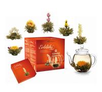 Blooming Tea Gift Set - Flowering Tea Giftset with 500 ml Glass Tea Pot and 6 Tea Flowers - White Tea