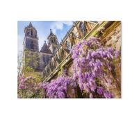 Blooming Wisteria in the Cloister of Magdeburg Cathedral，Puzzle 1000 Pieces Paper Puzzle Adult Children'S Educational Toy Family Decompression Game（50x70cm）-AD58