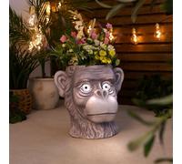 Bloomingtons Direct Monkey Head with Solar Light Up Eyes Garden Planter Pot Novelty LED Plant Pot Animal Themed Flower Planters Plant Pots Outdoor Patio Decoration