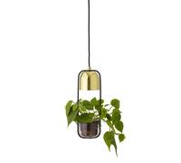 Bloomingville Bloomingville ceiling lamp with hanging basket Ø10 cm clear-gold