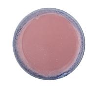 Bloomingville Paula plate Ø20 cm Rose