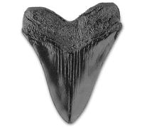 BLOOOK 5inch Giant Megalodon Tooth Easy Clean Resin Teeth Home Decoration Tooth Replica Marine Bology Teaching Props for Kids Childs