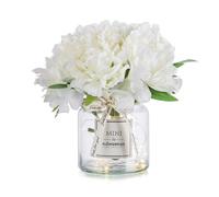 BLOSMON Artificial Flowers in Vase Decoration White Peony Fake Flower with Glass Vases for Table Decorations Small Floral Arrangements Indoor Room Window Desk Centrepiece Silk Plant Bouquet Decor