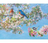 Blossom Festival