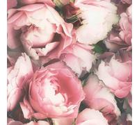 Blossom Pink Wallpaper - Floral Botanical Flowers Rose Petals Glamorous Classic - Stylish Trendy Feature Wall