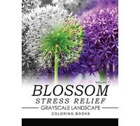 Blossom Stress Relief GRAYSCALE Landscape Coloring Books Volume 1 (Flower Stress Relief GRAYSCALE)