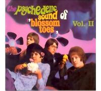 Blossom Toes - If Only For A Moment