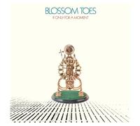 Blossom Toes - If Only For A Moment (3CD Digipack Edition)