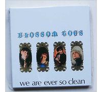 Blossom Toes - We Are Ever So Clean