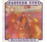 Blossom Toes - What On Earth : Rarities 1967 - 69