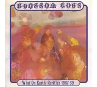 Blossom Toes - What On Earth : Rarities 1967 - 69