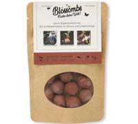Blossombs Colourful Organic Seed Bombs - Terra Red