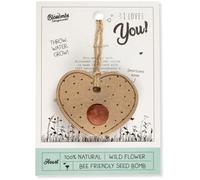 Blossombs Seed Bomb with String on Celebrate Card - "I love you"